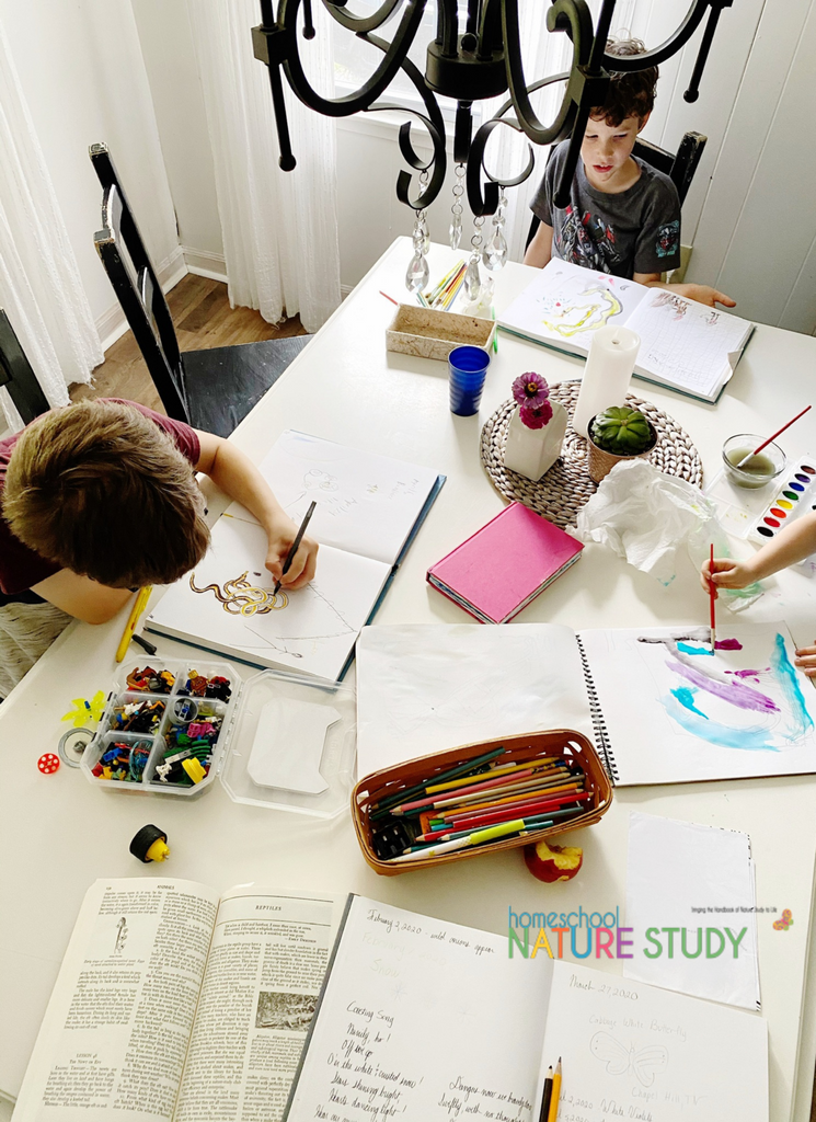 Homeschool Nature Journal or Nature Notebook?