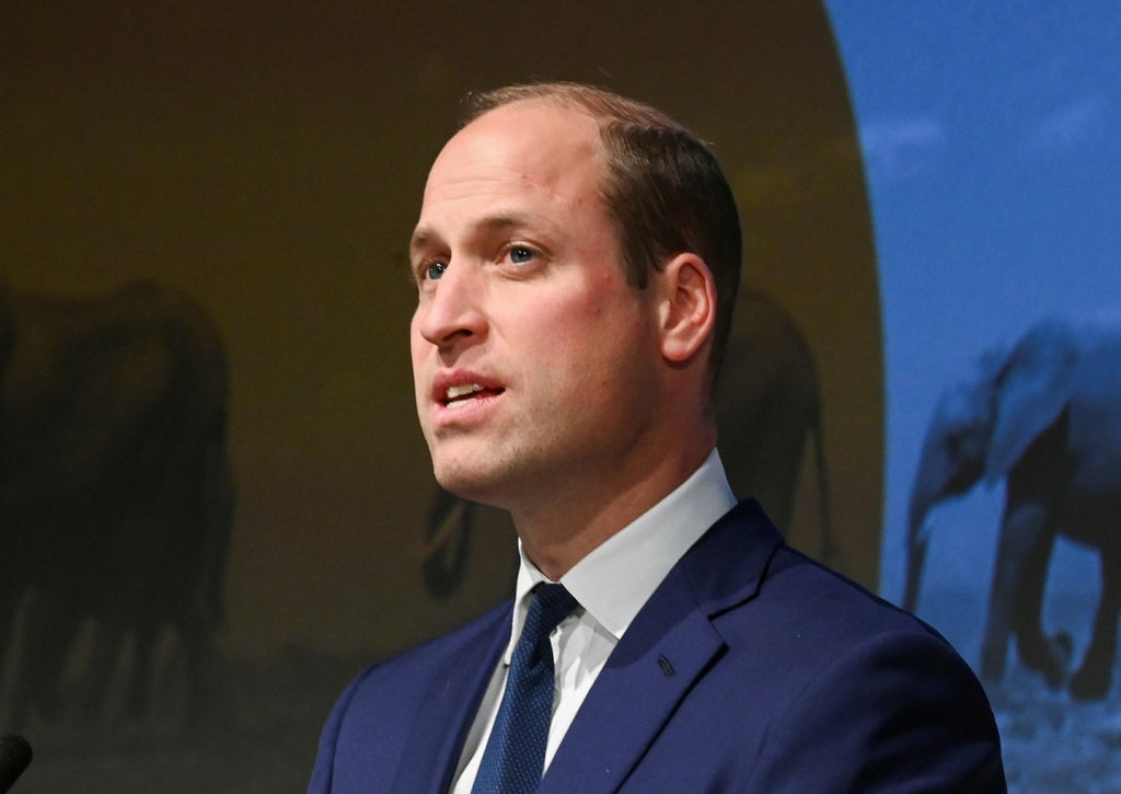 Did Prince William successfully bully the BBC into editing ‘The Princes & the Press’?