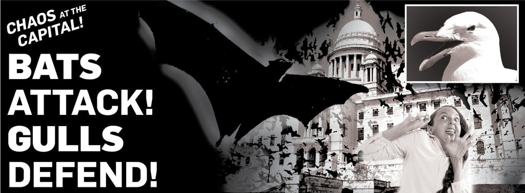 Bats Attack! Gulls Defend!