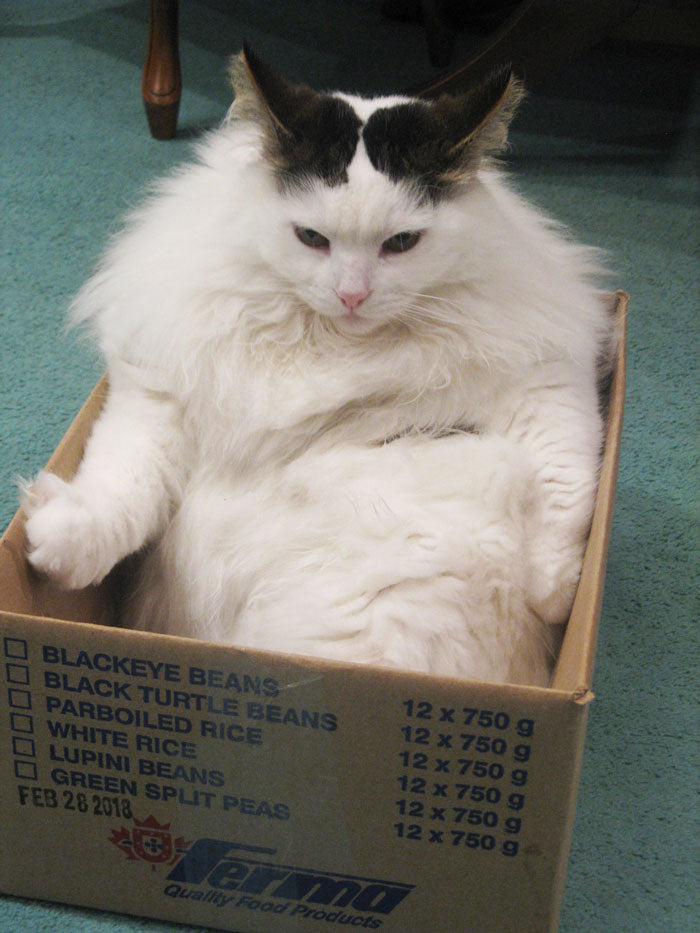 Person Asks “Which Cheap, Mass-Produced Item Is Stupendously Well Engineered?”, And 39 Folks Deliver