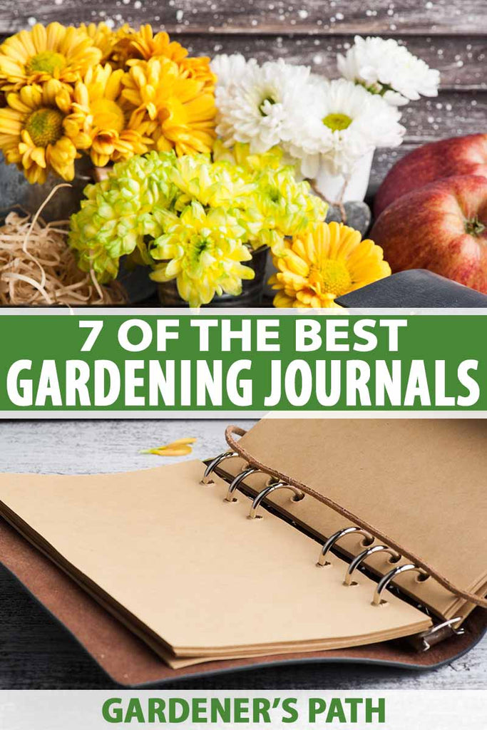 7 of the Best Gardening Journals to Plan, Record, and Celebrate Your Garden