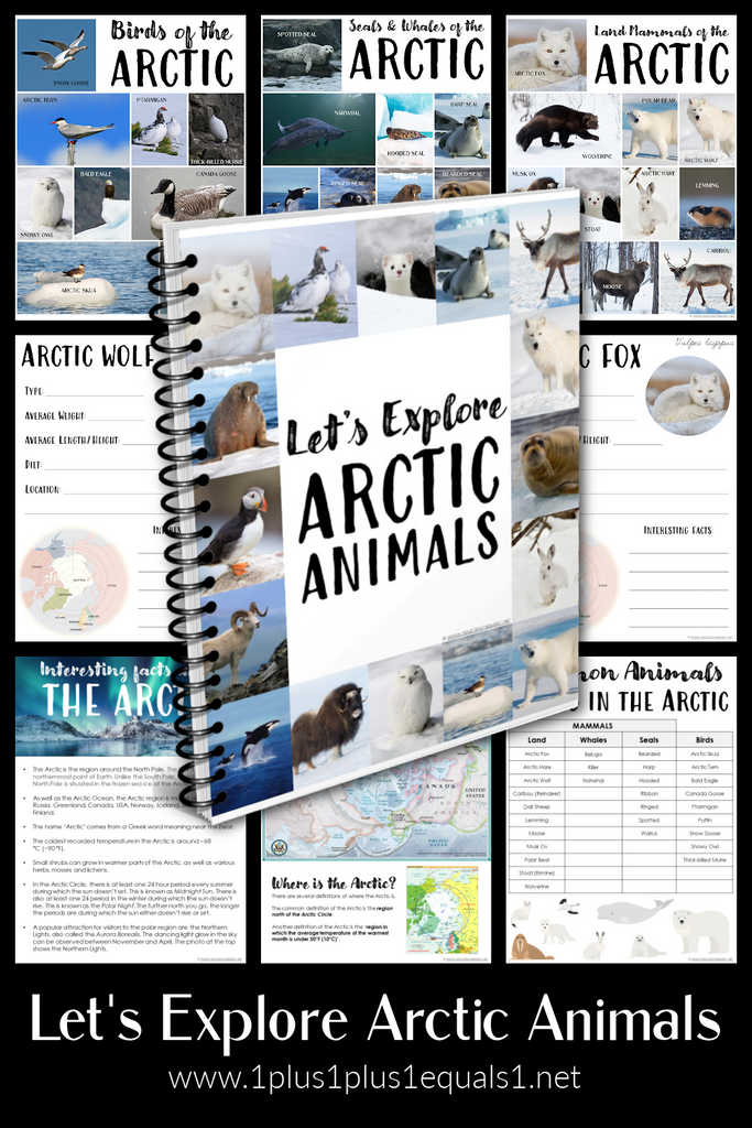 Let’s Explore Arctic Animals – An Arctic Unit Study for Kids