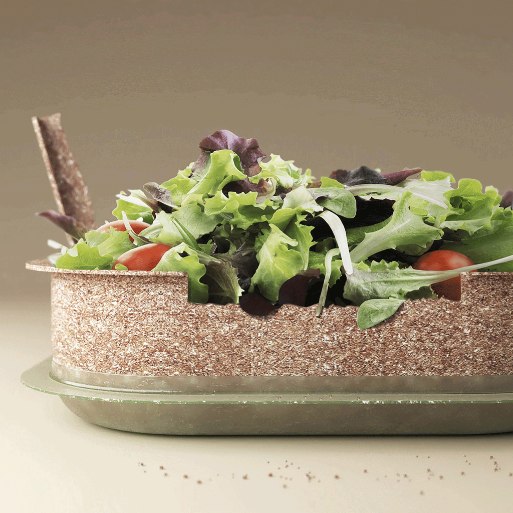 Forest and Whale designs edible Reuse food containers made from wheat husks