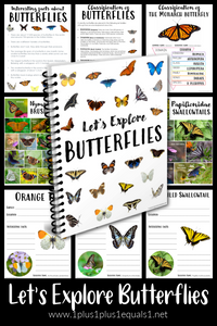 Let’s Explore Butterflies ~ A Butterfly Unit Study for Kids
