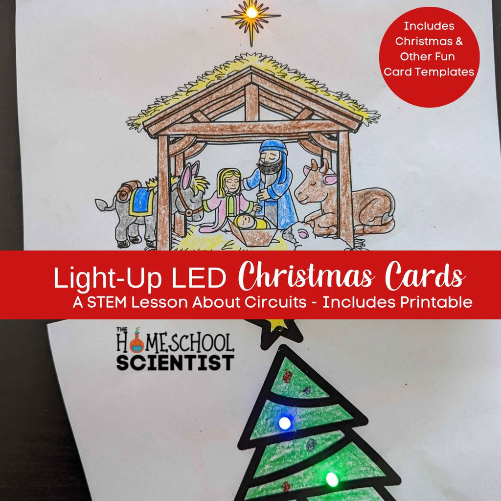 7 Fun Ways to Build a Circuit