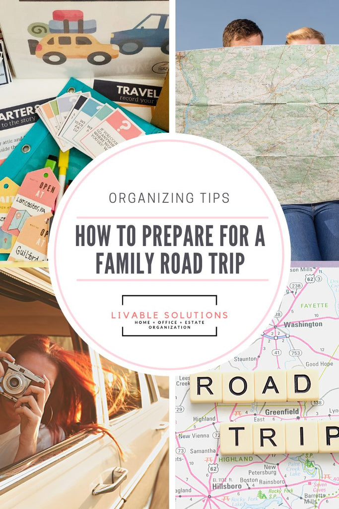 Family Road Trip! How to organize and prepare