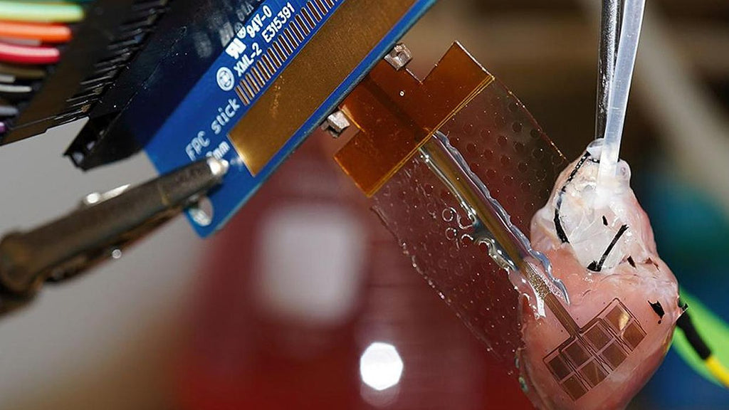 A New Carbon Material for Better Bioelectronics